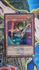 2025年最新】遊戯王 スリーブ 未開封の人気アイテム - メルカリ