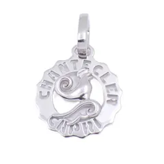 2025年最新】Chantecler ネックレスの人気アイテム - メルカリ