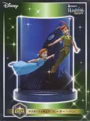 【中古】フィギュア 『ピーター・パン』 「Happyくじ Disney Wishing Stars」 Last賞 ポスターフィギュア