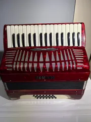 2025年最新】yamaha アコーディオンの人気アイテム - メルカリ
