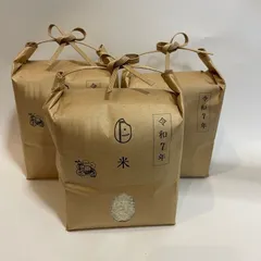 白米 精米 新米 令和7年産 Freddo お米 3kg 兵庫県 特A地区 ヒノヒカリ ひのひかり 送料無料