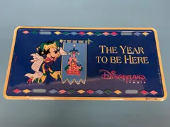 Disney ディズニーランド パリ 5周年記念プレート 