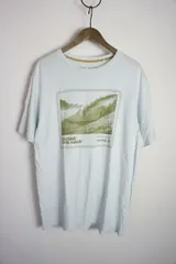 美品Patagoniaパタゴニア Premier Poster Regenerative Organic Pilot Cotton Tee ROCパイロット Tシャツ カットソー 37416 薄青813O★2