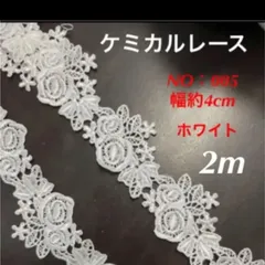 ケミカルレース　NO：005   幅約4cm   2m
