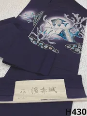 濱赤城 長浜 熱帯魚 手描き友禅 九寸名古屋帯 浜つむぎ 真綿紬糸 絹100% H430