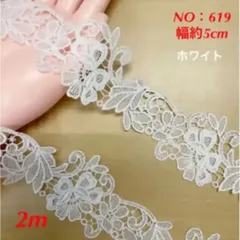 ケミカルレース　NO：619    幅約5cm   長さ2m