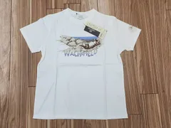 未使用 わちふぃーるど ダヤン ねそべりプレーンT Tシャツ LF フリーサイズ オフホワイト タグ付き
