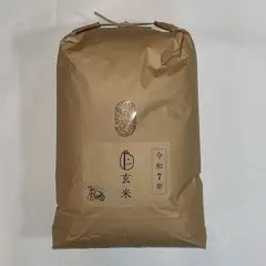 玄米 新米 令和7年産 Freddo お米 10キロ 10kg 兵庫県 特A地区 ヒノヒカリ ひのひかり 送料無料