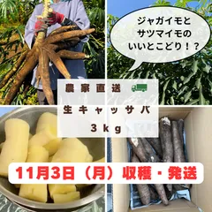 2025年最新】キャッサバの人気アイテム - メルカリ