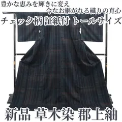 ❁tomihisa❁新品 チェック柄 草木染 着物 正絹“恵みを輝きに変え今なお継がれる織りの真心”仕付け糸付 証紙付 トールサイズ 郡上紬 6839のサムネイル
