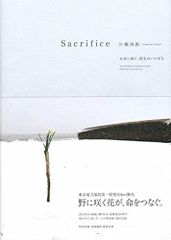 Terri Weifenbach写真集「Some Insects」花 空 虫 庭 - メルカリ