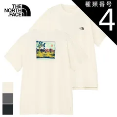 種類4：WD/L ザ・ノース・フェイス ラッシュガード Tシャツ THE NORTH FACE NTW12431 S/S WATER SMOOTH T Z S ショートスリーブウォータースムースティー 水着 海 夏 川 アクティビティメール便