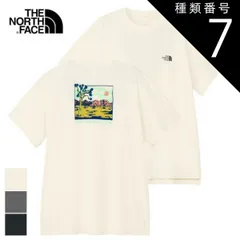 種類7：Z/L ザ・ノース・フェイス ラッシュガード Tシャツ THE NORTH FACE NTW12431 S/S WATER SMOOTH T Z S ショートスリーブウォータースムースティー 水着 海 夏 川 アクティビティメール便