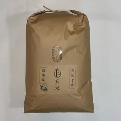 減農薬米 低農薬 玄米 新米 令和7年産 Freddo お米 10キロ 10kg 兵庫県 特A地区 ヒノヒカリ ひのひかり 送料無料