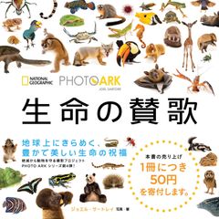 希少：ants life studio デジタルアリ飼育 - メルカリ
