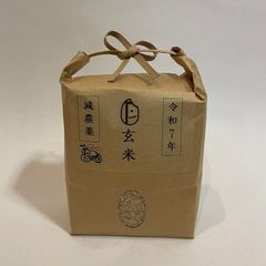 帆前掛け 御目出鯛 エプロン ANYTH縁ING 帆前掛け - メルカリ