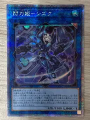 2025年最新】閃刀姫 シズク 25thの人気アイテム - メルカリ