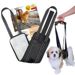 Item thumbnail for item fd75282b-4381-421c-ae7d-89b1f9d6a474