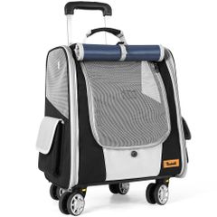 Item thumbnail for item 27e757ff-f2a8-490c-ae25-9d881e833596