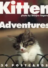 【中古】単行本(実用) ≪写真集≫ Kitten Adventures 子猫の大冒険