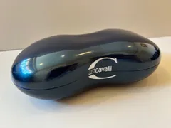 【店頭引き上げ品】JUST CAVALLI ジャスト カヴァリ サングラスケース 未使用品です。ハードケース　メガネケース　光沢　メタリック　おしゃれ ケース 深緑　ダークグリーン　dark green  forest green めがね　眼鏡　メガネ