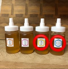 【非加熱・生はちみつ】からすたらのき百花蜜150g&菜の花蜜150g(2本