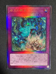 遊戯王 屋敷わらし 絵違い 25thレア クオシク QCAC - メルカリ