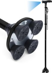 Item thumbnail for item 06c90152-9ad4-4cd5-8654-3849ef6070b6