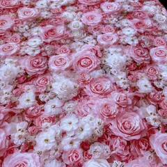 つーちゃん様専用