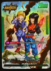 2025年最新】人造人間17号/人造人間18号 リーダーパラレルの人気