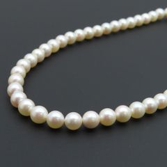 TIFFANY ティファニー イチョウ ブローチ シルバー 楽天市場】TIFFANY&Co. ティファニー フラワー ブローチ 花モチーフ