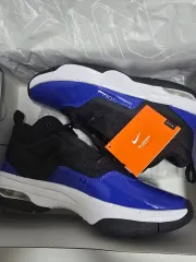 ナイキ ジョーダン ステイ ロイヤル3 265mm (正規品 新品)