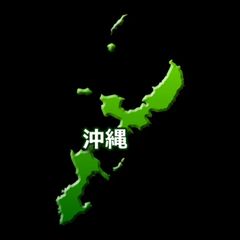 名鉄 岐阜市内・田神線（廃線）】使用済硬券乗車券 羽島→長良北町
