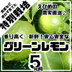 栽培期間中農薬不使用の国産グリーンレモン　5kg箱【農薬不使用の特別栽培基準/愛媛の農家直送/全国追加送料なし】2026 アウトレット