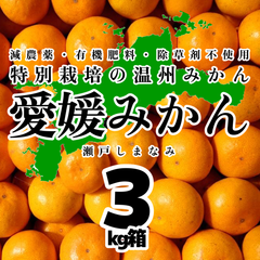 特別栽培の温州みかん　3kg箱【愛媛県の農家直送/全国追加送料なし】1/25注文受付分