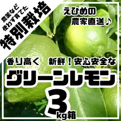 栽培期間中農薬不使用の国産グリーンレモン　3kg箱【農薬不使用の特別栽培基準/愛媛の農家直送/全国追加送料なし】2026 アウトレット