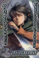 2025年最新】コレクターズカード リヴァイの人気アイテム - メルカリ