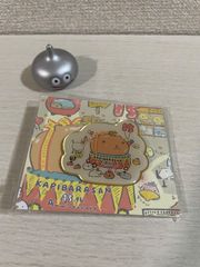 카피바라씨 15주년 핀즈