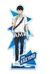 【新品/公式】ハイキュー!!_帰り道 アクリルスタンドプレート 影山飛雄 公式グッズ colleize
