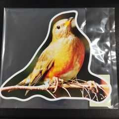 ローカル LOCAL キジ刺繍ワッペン ポストカード - メルカリ