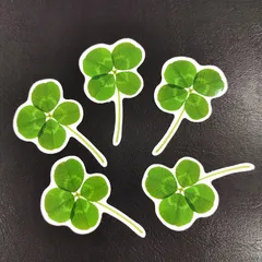 🍀１０枚セット🎵　🍀🍀🍀新品🎵　未使用品　送料込価格🎵　おまけ付き商品🎵　約実物大　原寸　🍀四つ葉のクロバーがセットになった、お得なステッカー🎵「四つ葉のクローバー　防水ステッカー　１０枚セット」（約３５ｍｍ×約５６ｍｍ）