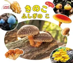 2025年最新】きのこのこのこの人気アイテム - メルカリ