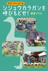 中古】ヴァイスシュヴァルツ LNJ/W97-071SSP[SSP]：(ホロ)夢見る