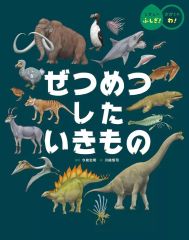 中古】ヴァイスシュヴァルツ LNJ/W97-071SSP[SSP]：(ホロ)夢見る