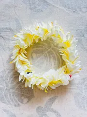 2025年最新】フラダンス ハクの人気アイテム - メルカリ