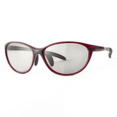 Item thumbnail for item 8a4270b0-0fef-4161-8dac-284ac8c36341