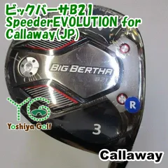 2025年最新】ビックバーサ b21の人気アイテム - メルカリ