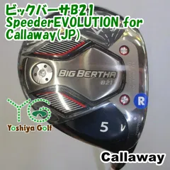 2025年最新】ビックバーサ b21の人気アイテム - メルカリ