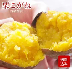 2025年最新】マロンゴールド 苗の人気アイテム - メルカリ