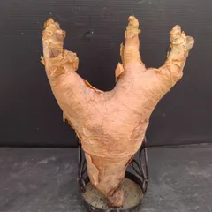 2025年最新】キフォステンマの人気アイテム - メルカリ